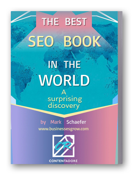 The Best Seo Book in the World